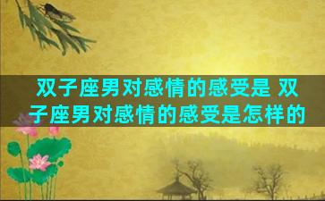 双子座男对感情的感受是 双子座男对感情的感受是怎样的